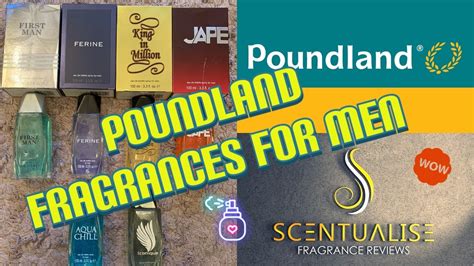 poundland perfume dupe|poundland aftershave smells like.